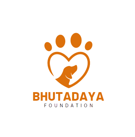 bhutadaya foundation